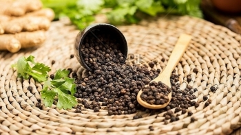 Giá hồ tiêu hôm nay 19/11: Giảm nhẹ