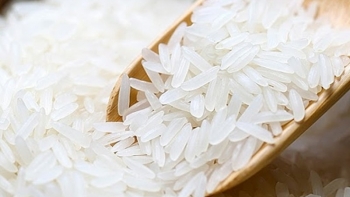 Cập nhật giá gạo chiều nay 19/11: Tiếp tục giảm nhẹ