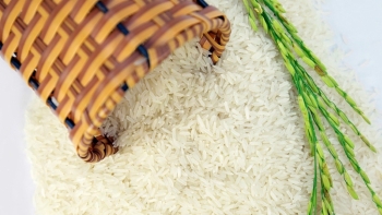 Cập nhật giá gạo chiều nay 21/11: Giảm thêm từ 50 - 200 đồng/kg