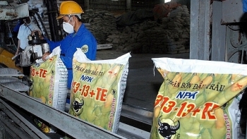 Xuất khẩu phân bón sang thị trường Đài Loan tăng 200%