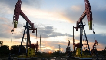 Giá xăng dầu hôm nay 22/11: Tiếp đà tăng lên 2%