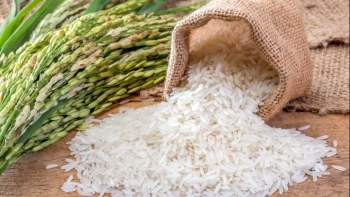Cập nhật giá gạo hôm nay 25/11: Tiếp tục giảm