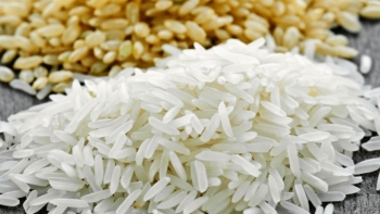 Cập nhật giá gạo chiều nay 25/11: Lao dốc