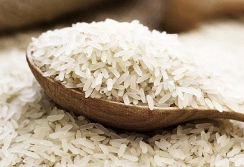 Cập nhật giá gạo chiều nay 27/11: Xu hướng giảm