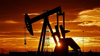 Cập nhật giá xăng dầu hôm nay 2/11/2021: Lấy lại đà tăng