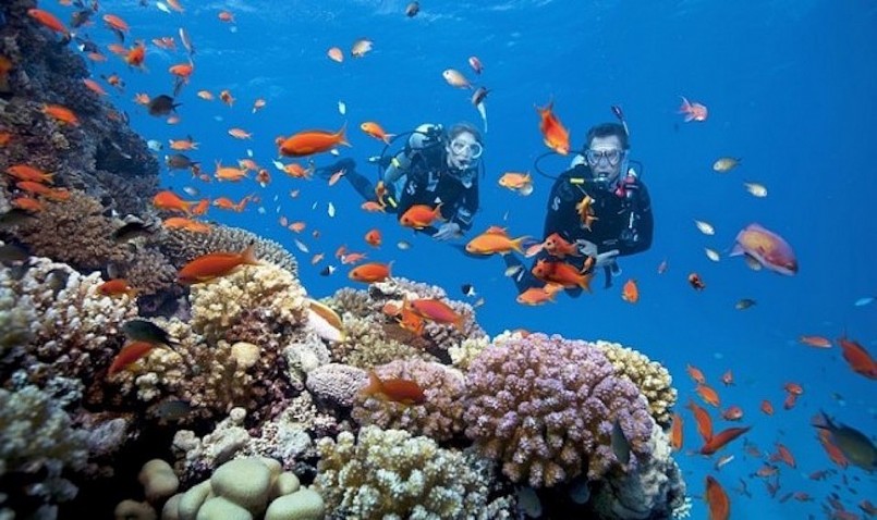 Việt Nam có nguồn tài nguyên biển quý giá cần phải được bảo tồn Việt Nam có nguồn tài nguyên biển quý giá cần phải được bảo tồn