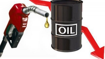 Cập nhật giá xăng dầu hôm nay 4/11/2021: Tiếp tục giảm mạnh