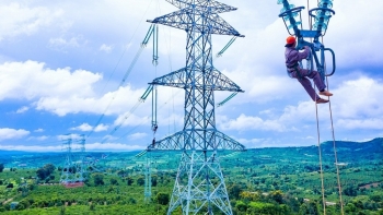 Thu tiền thuê đất của Hệ thống đường dây truyền tải điện