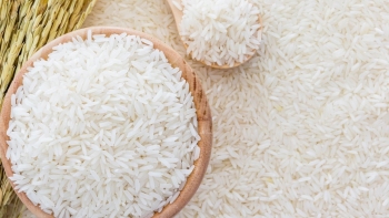 Thị trường gạo Châu Á: Giá gạo Việt, Ấn Độ đồng loạt tăng