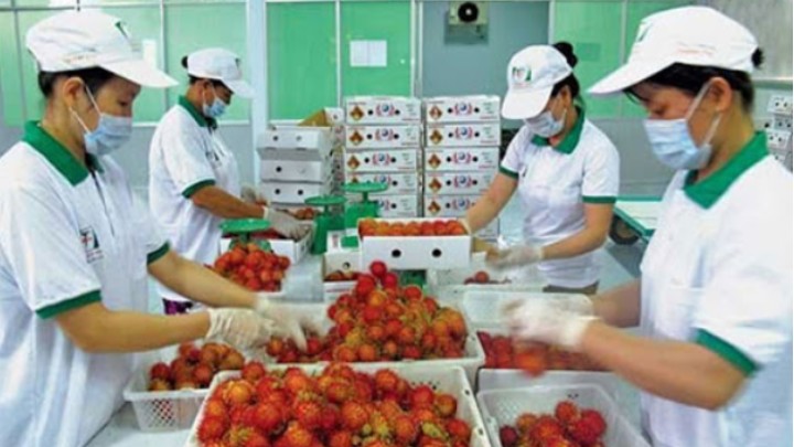 Quy định mới về tần suất kiểm tra rau quả nhập khẩu vào EU