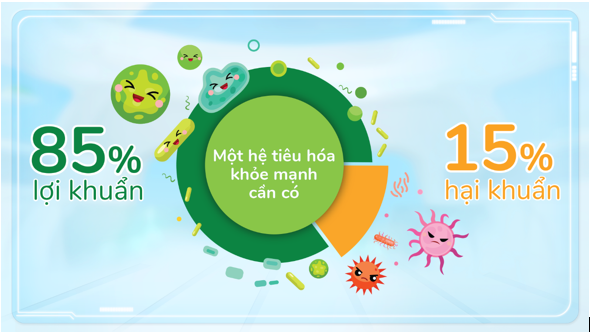 Đường ruột khỏe mạnh khi có 85% là lợi khuẩn và 15% là hại khuẩn.