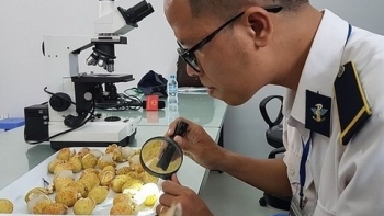 Đài Loan lưu ý về Giấy chứng nhận kiểm dịch thực vật