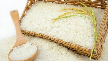 Cập nhật giá lúa gạo hôm nay 13/11/2021: Tăng giảm trái chiều