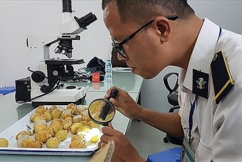 Đài Loan lưu ý về Giấy chứng nhận kiểm dịch thực vật