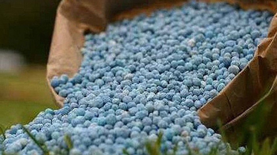 Giá phân bón nhập khẩu tháng 10/2021 tăng 1,5 lần