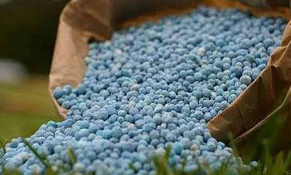 Giá phân bón nhập khẩu tháng 10/2021 tăng 1,5 lần