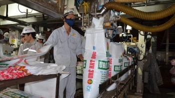 Xuất khẩu phân bón sang Campuchia chiếm gần 50% tổng kim ngạch cả nước