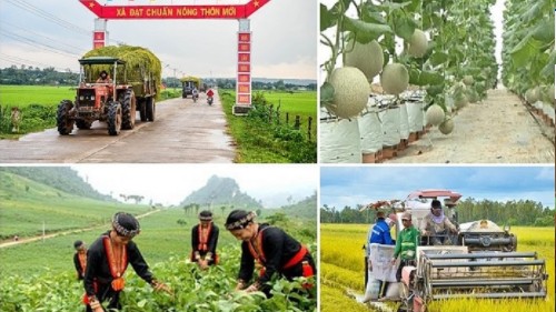 Lập Ban Chỉ đạo Trung ương các chương trình mục tiêu quốc gia giai đoạn 2021 - 2025