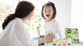 Hiệu quả tăng cường miễn dịch từ sữa chua men sống Probiotic