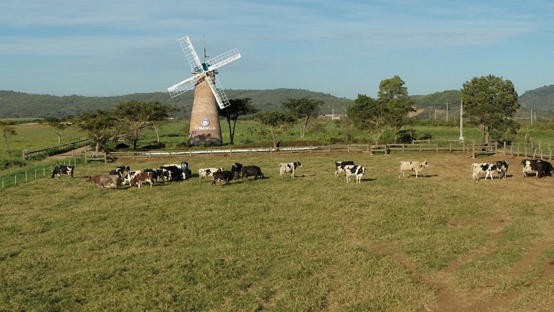 Các hoạt động thực hành ESG luôn được Vinamilk chú trọng trong chiến lược sản xuất kinh doanh Các hoạt động thực hành ESG luôn được Vinamilk chú trọng trong chiến lược sản xuất kinh doanh