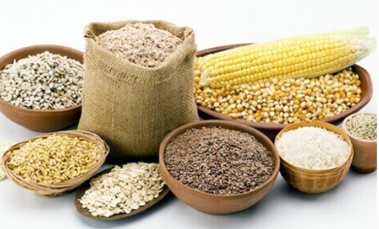 Kim ngạch xuất khẩu thức ăn gia súc các loại tăng mạnh