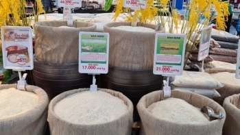 Thị trường gạo Châu Á: Giá gạo Việt Nam, Ấn Độ đồng loạt giảm