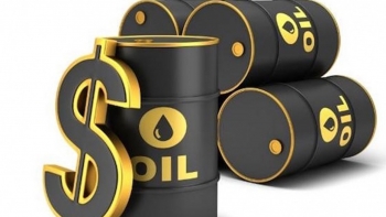 Cập nhật giá xăng dầu hôm nay 24/11/2021: Biến động trước động thái "xả" kho dự trữ của các nước