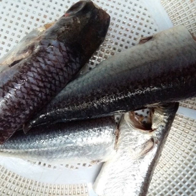 Cách kho cá chuồn ngon với mít non bùi bùi, ngọt thịt