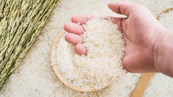 Cập nhật giá gạo hôm nay 2/12: Tăng trở lại
