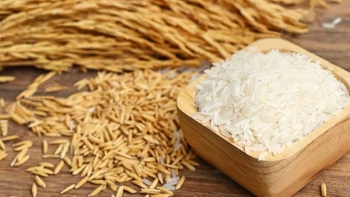 Cập nhật giá gạo chiều nay 3/12: Tiếp đà tăng ở một số chủng loại