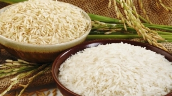 Cập nhật giá gạo chiều nay 5/12: Giá gạo xuất khẩu Thái Lan và Ấn Độ tăng