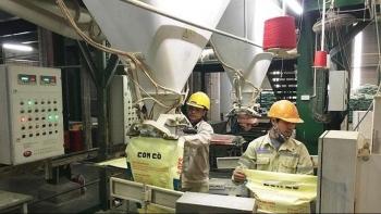 Doanh nghiệp ngành sản xuất thức ăn chăn nuôi đang "yếu thế” trên sân nhà