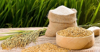 Cập nhật giá gạo hôm nay 7/12: Giữ giá