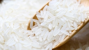 Cập nhật giá gạo chiều nay 7/12: Tăng nhẹ