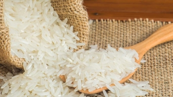 Cập nhật giá gạo hôm nay 9/12: Tiếp đà tăng