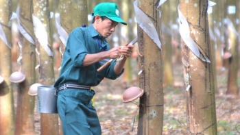 GVR bắt đầu thoái vốn tại SIP