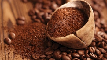 Giá cà phê hôm nay 10/12: Tiếp tục trượt dốc