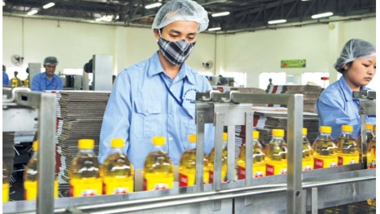 SCIC sắp bán đấu giá hơn 44,2 triệu cổ phần tại Vocarimex