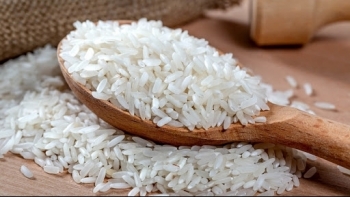 Cập nhật giá gạo hôm nay 12/12: Ổn định