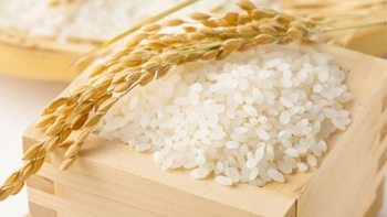 Cập nhật giá gạo chiều nay 16/12: Trong nước giảm nhẹ