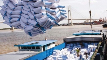 Phân bổ hạn ngạch thuế quan nhập khẩu gạo trong khuôn khổ Hiệp định Việt Nam – EAEU