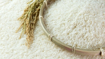 Cập nhật giá gạo chiều này 17/12: Giảm nhẹ