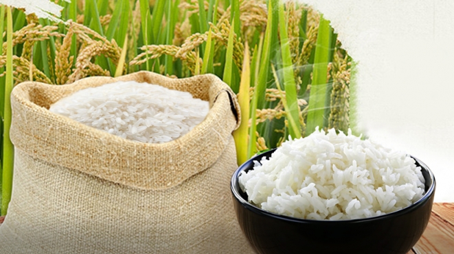 Cập nhật giá gạo hôm nay 18/12: Duy trì ở mức cao