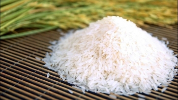 Cập nhật giá gạo hôm nay 19/12: Ổn định