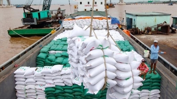 Xuất khẩu gạo 11 tháng giảm về lượng, tăng kim ngạch