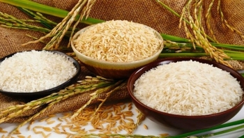 Giá gạo xuất khẩu của Việt Nam ở mức cao nhất trong 9 năm