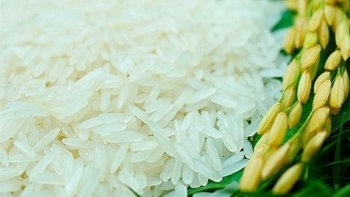 Cập nhật giá gạo hôm nay 21/12: Ổn định phiên đầu tuần