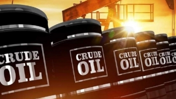 Giá xăng dầu hôm nay 22/12: Giảm 3%