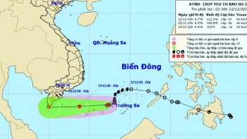 Áp thấp nhiệt đới giật cấp 9, biển động mạnh