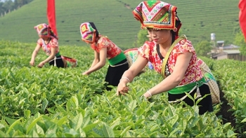 Kéo dài thời gian hỗ trợ phát triển kinh tế - xã hội vùng dân tộc thiểu số